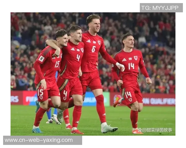 威尔士与比利时比赛前瞻及胜负预测分析全面解读